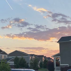 Meet your Posher, Carter